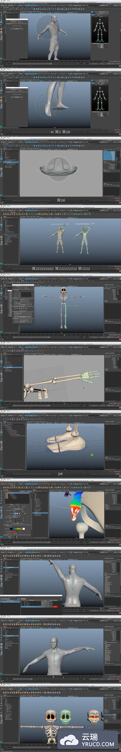 MAYA 初学者索具教程