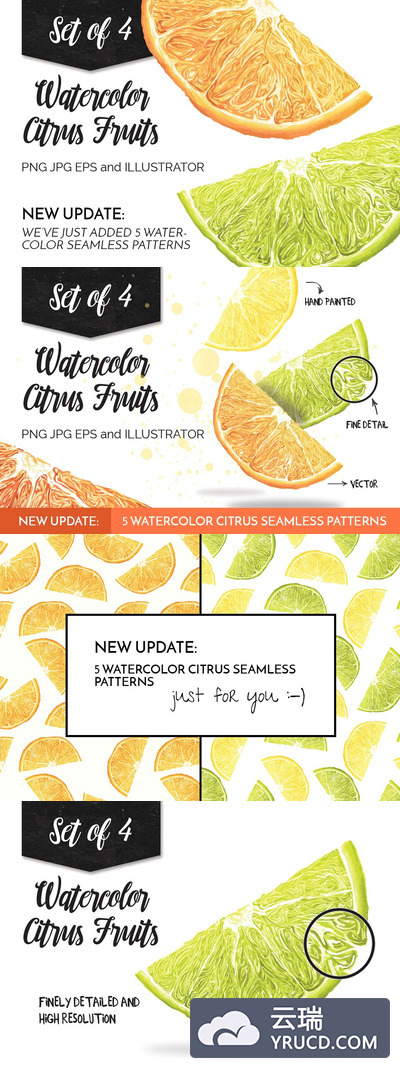 水彩画柑橘类水果素材 Watercolor Citrus Fruits