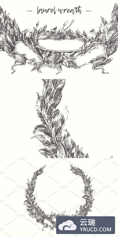 美丽的老式月桂花环 Beautiful vintage laurel wreath