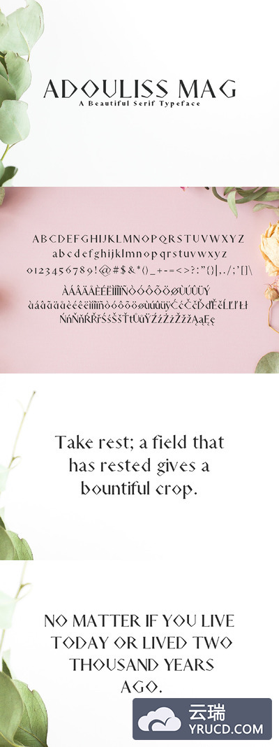 方格字体 Adouliss Mag Serif 9 Font Family