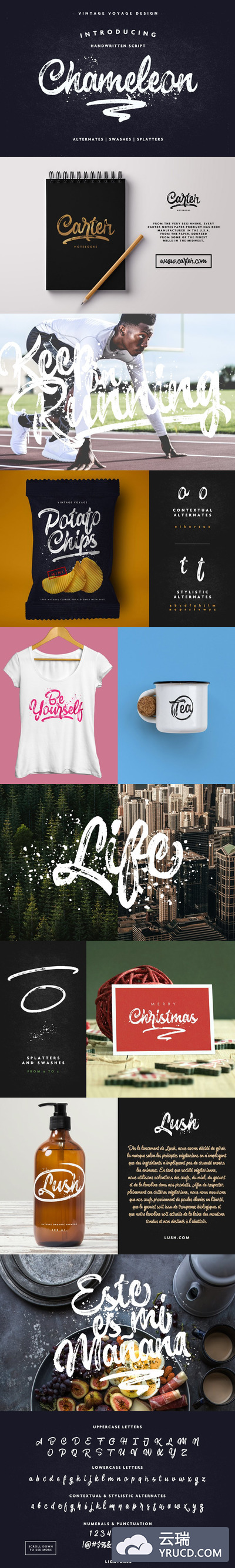 大气粗犷的笔刷字体 Chameleon • Impressive Brush Script