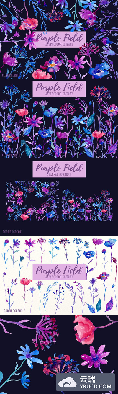 水彩紫色领域黑暗的花 Watercolor Purple field Dark Flowers