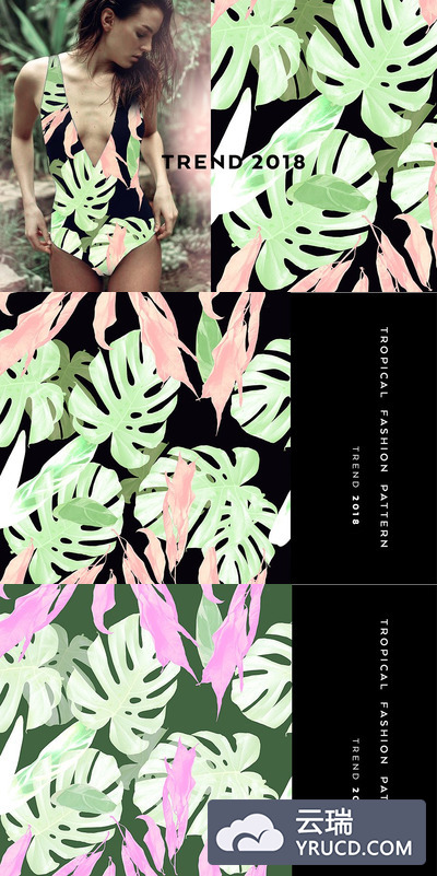 热带风格背景纹理素材 Seamless floral patterns with leaves