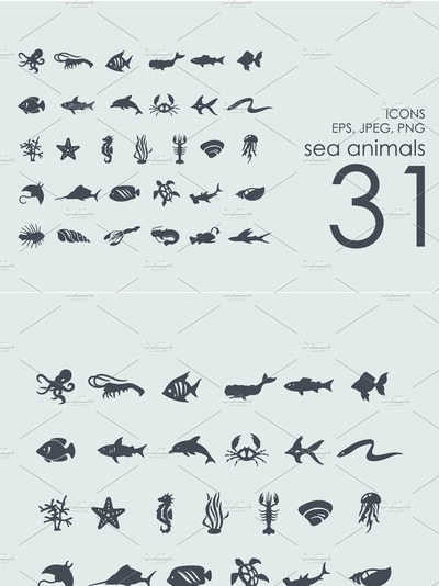 31个海洋生物图标 31 sea animals icons