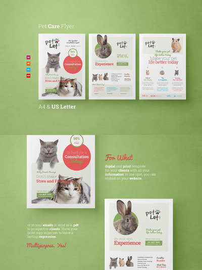 宠物海报模板 Pet Flyer