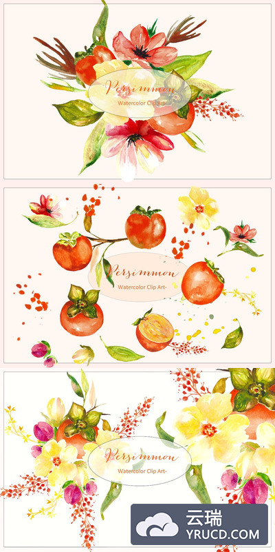 柿子橙色水彩素材 Persimmon. Orange watercolor Clipart