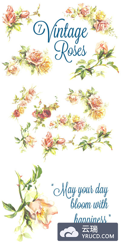 7个复古玫瑰 7 Vintage Roses