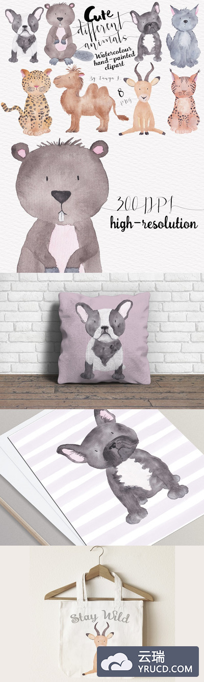 可爱的卡通动物素材 Cute Different Animals Set