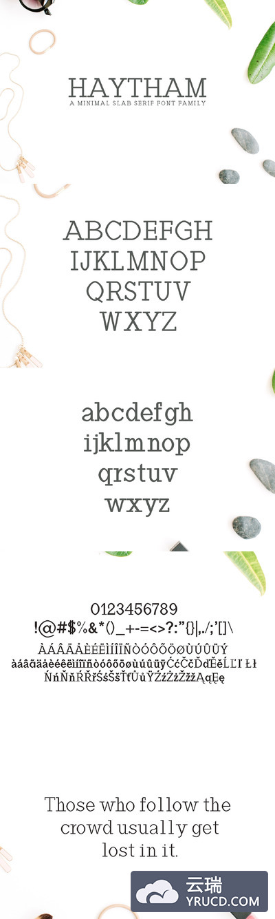 简单衬线字体 Haytham Slab Serif 7 Fonts Packs