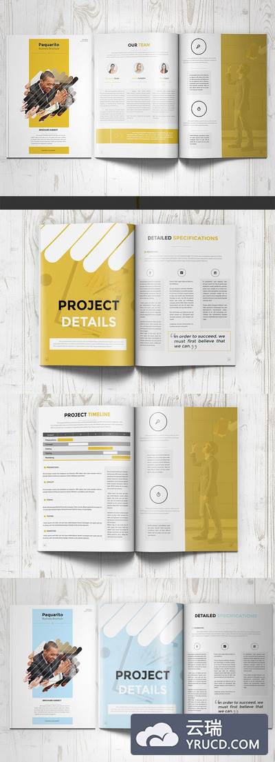 商业计划书模板 Paquarito Business Proposal