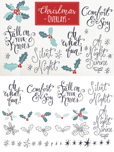 圣诞节花卉素材 Christmas Overlays Set 6 - Vector