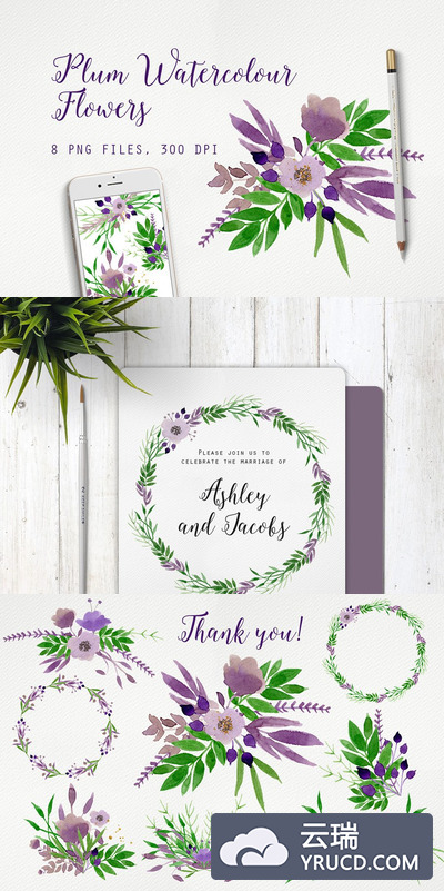 梅花水彩花卉 Plum Watercolour Flowers