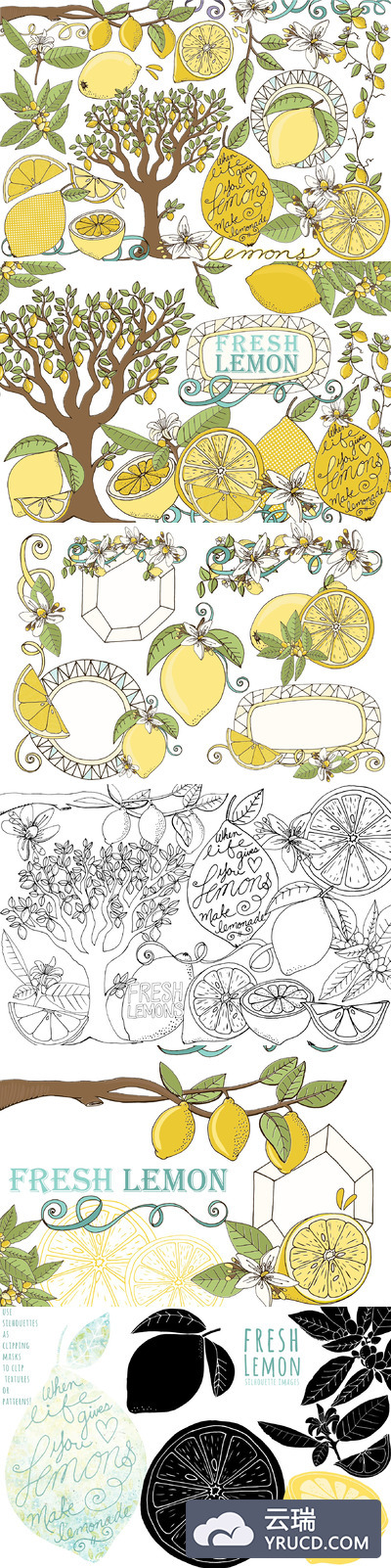 柠檬夏季水果插图 Lemons, Summer Fruit Illustrations