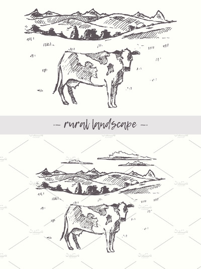 农村景观和牛的插画 Rural landscape and cow