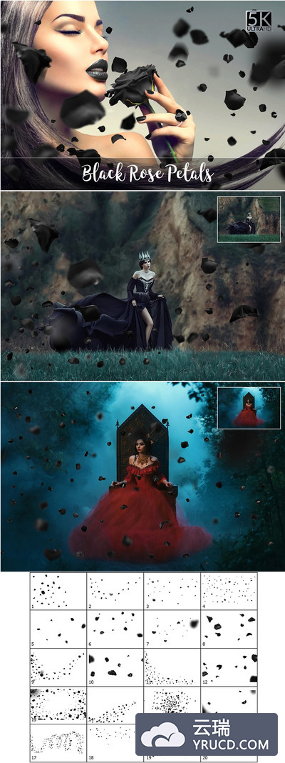 5K黑玫瑰花瓣素材 5K Black Rose Petals Overlays