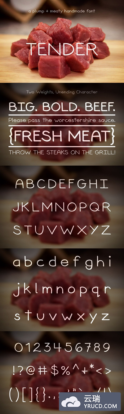 时尚字体 Tender Font Family