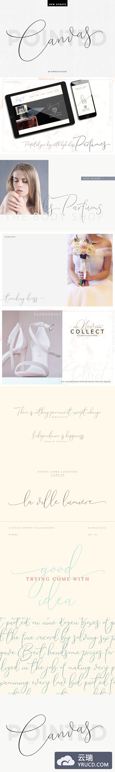 画布脚本手绘字体 Canvas Pointed Script