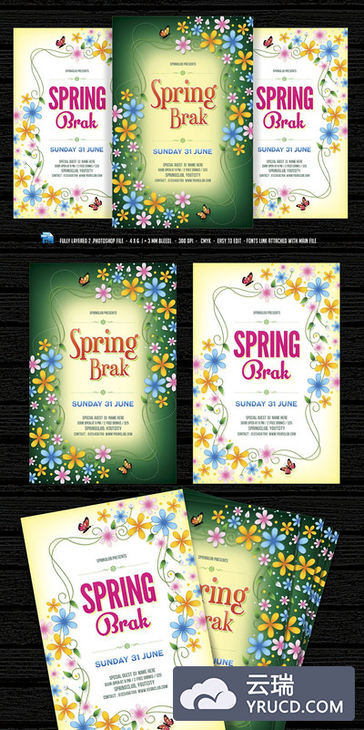 春季假期时光海报模板 Spring Break /  Time Flyer