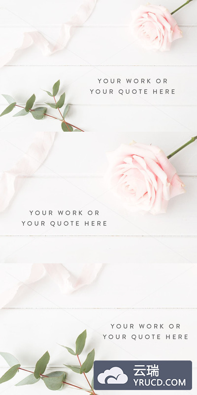 时尚的花卉玫瑰照片 Styled stock photography - Rose