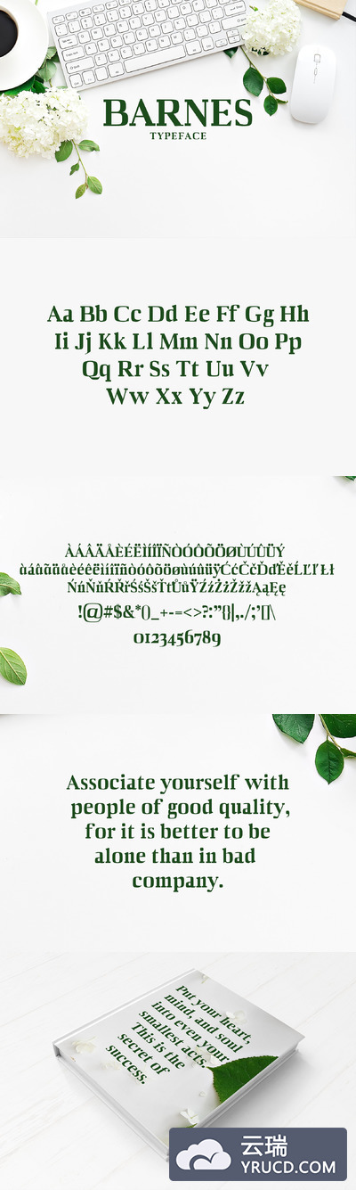 优雅的字体 Barnes Serif 7 Font Family Pack