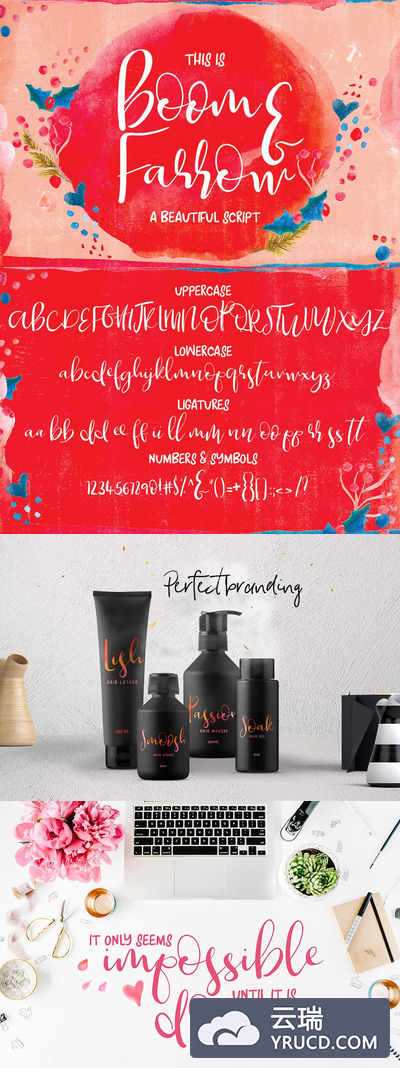 Boom＆Farrow脚本字体 Boom & Farrow Script Font