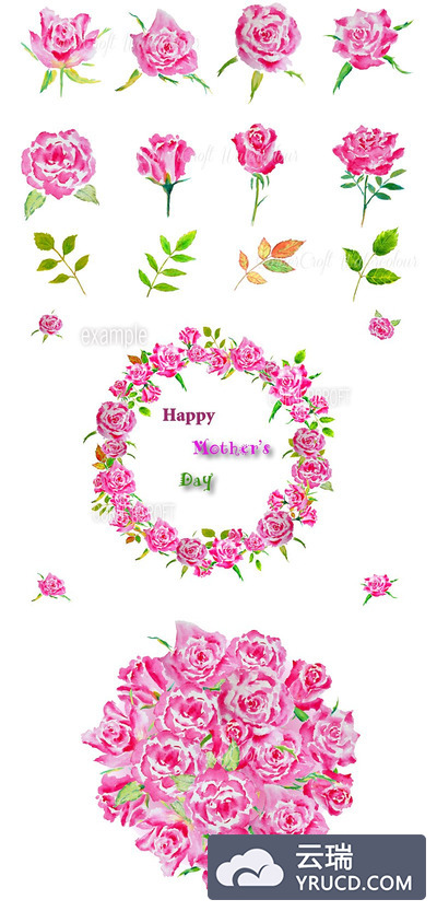 水彩花卉素材 Watercolor Pink Roses and Leaves