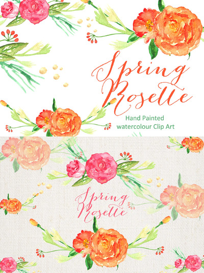 玫瑰水彩花卉 Rose Watercolor clipart