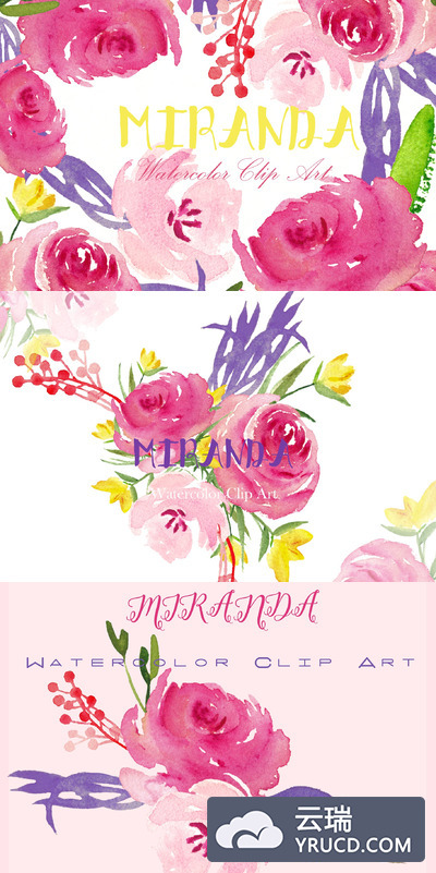 水彩玫瑰花素材 Miranda roses. Watercolor Clipart.