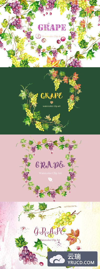 葡萄水彩花卉素材 Grapes watercolor Clip art
