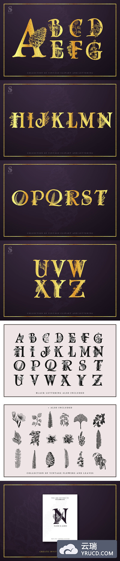 时尚高端简约复古花朵植物英文字母结合对象