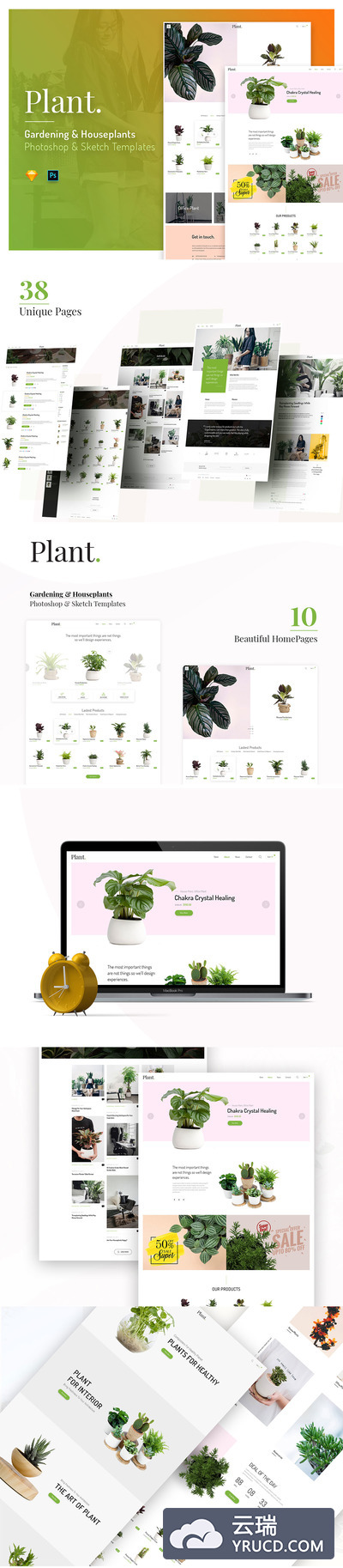 时尚的绿植电商多功能网站 UI KIT 模板下载 [PSD,Sketch]