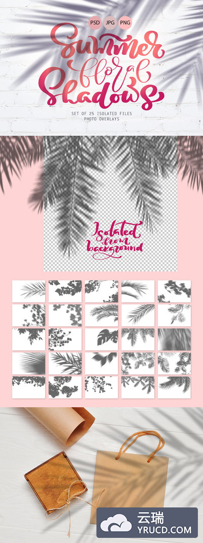 样机 | 高级高品质高端夏季花卉植物阴影质感素材