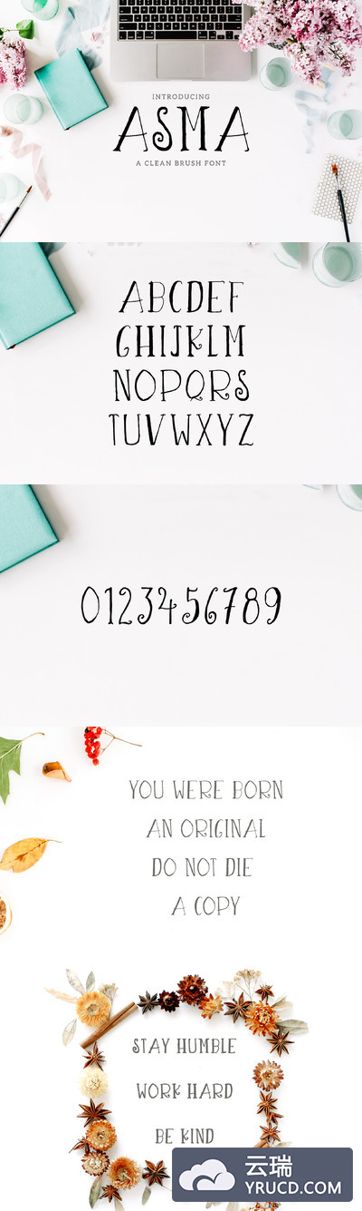 女性风格的手写字体 Asma Brush 3 Font Family Pack
