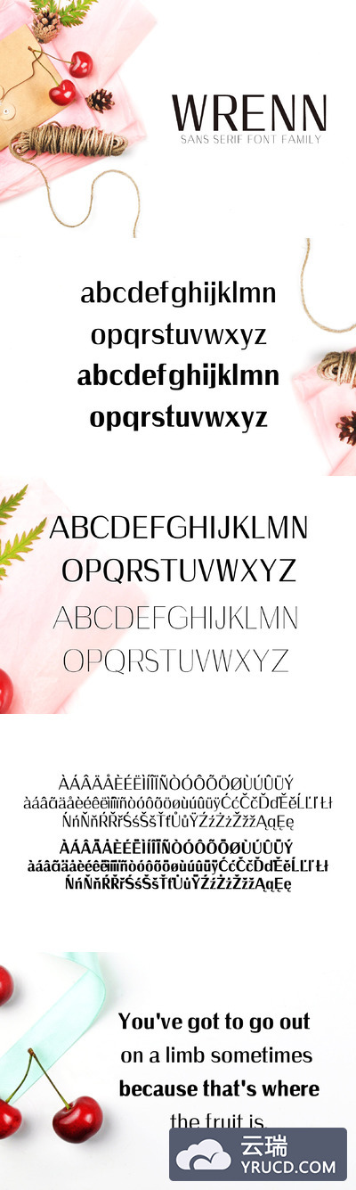 时尚的字体 Wrenn Sans Serif 6 Font Family