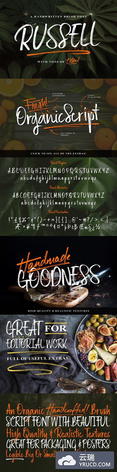 笔刷手写字体 Russell Brush Script Font