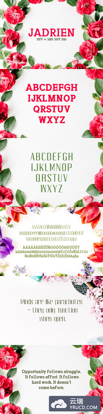 花卉字体 Jadrien Serif + Sans Duo 5 Font Pack