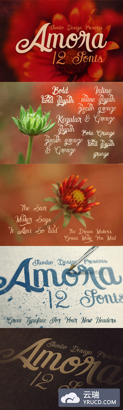 手绘花卉字体 Amora - 12 Script Fonts