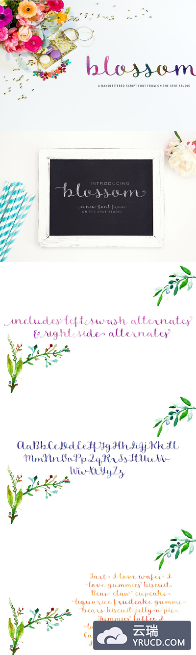 水彩花卉 Blossom