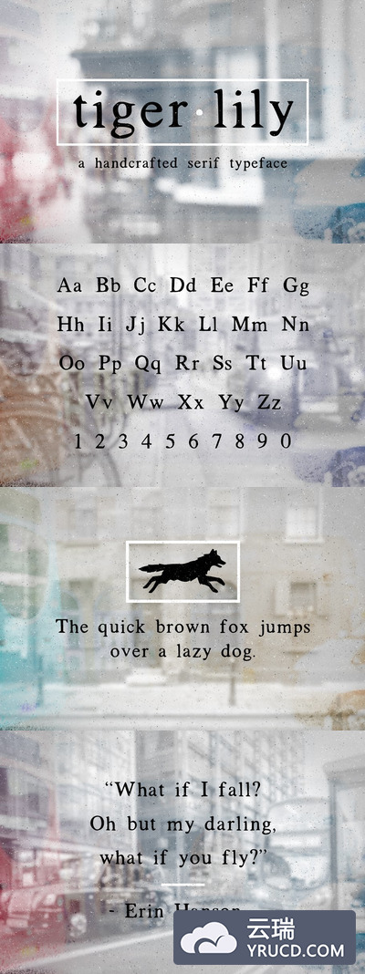 时尚品牌字体 Tigerlily