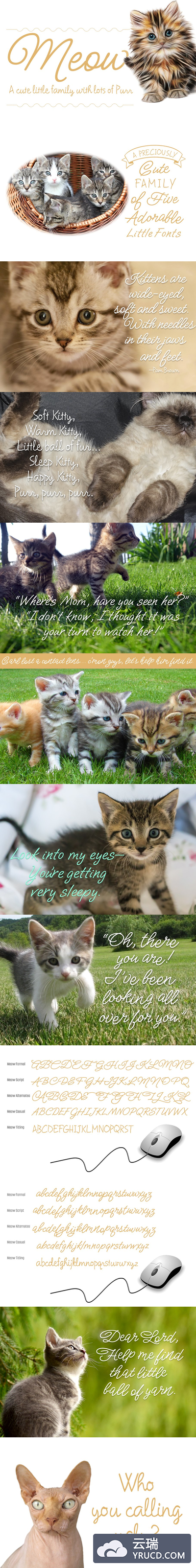 可爱手写字体 Meow ROB Script Family