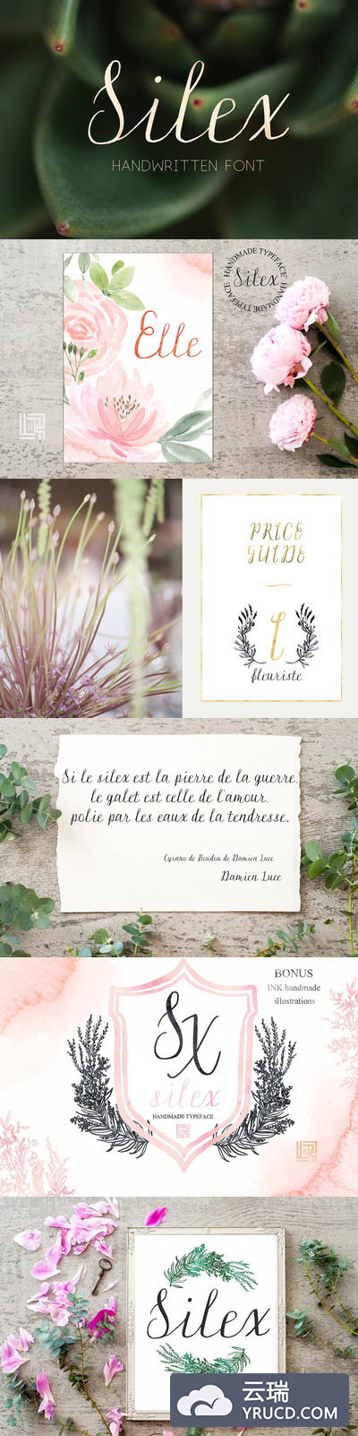 现代风格手写字体 Silex. Modern calligraphy