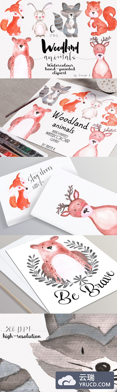水彩森林卡通动物素材 Watercolor woodland animals clipart