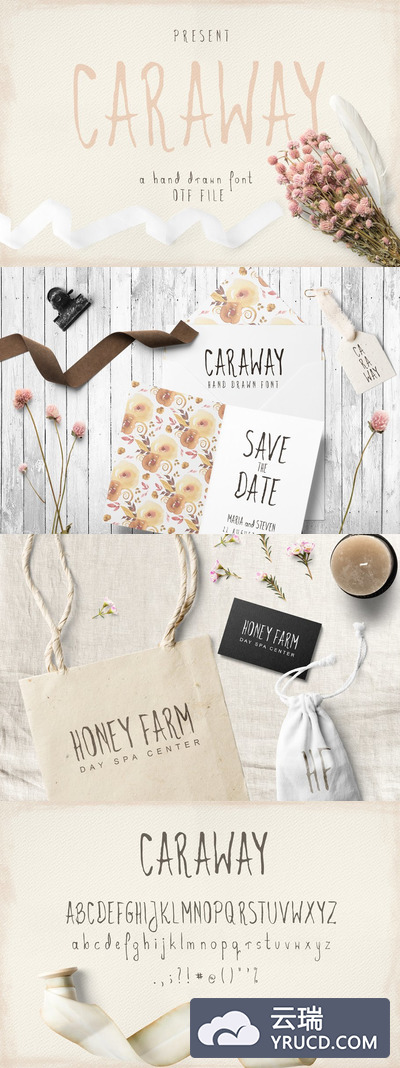 优雅的手绘字体 Caraway