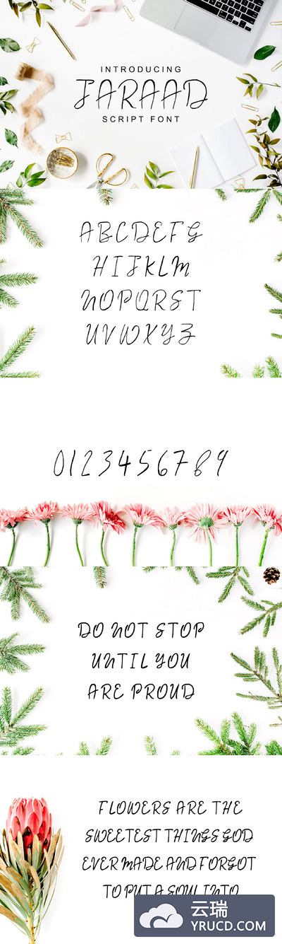 Jaraad脚本字体家族 Jaraad Script 4 Font Family Pack