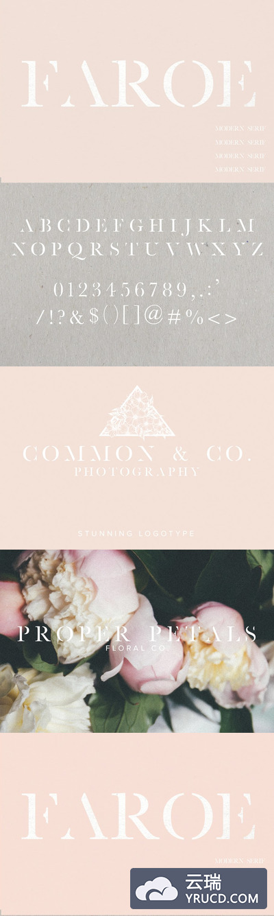 极简主义现代脚本字体 Faroe | A Modern Serif