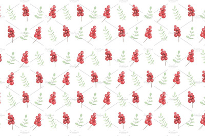 水彩浆果素材 Watercolor berries and branches