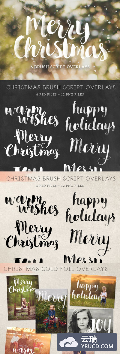 圣诞节照片常用元素素材 Christmas Photo Overlays - Script
