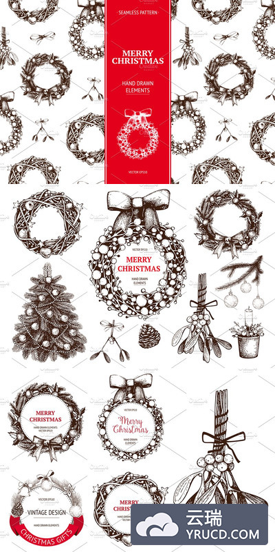 圣诞节花卉设计素材 Vector Christmas Design