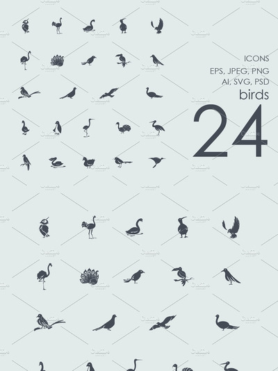 鸟类图标套装 Set of birds icons