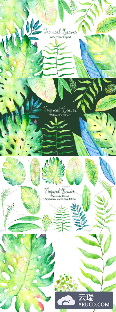 水彩热带叶子 Watercolor Tropical Leaf